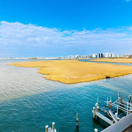 Pintail Point Condos Ocean City Oda fotoğraf